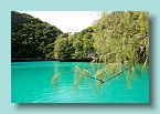 163_Fiji Beauty